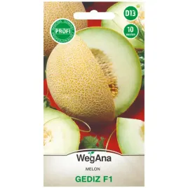 melon-gediz-f1-10-nasion-wegana