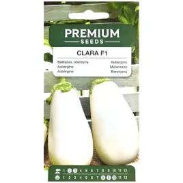 baklazan-clara-f1-oberzyna-nasiona-05g-premium-seeds