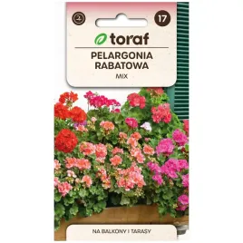 pelargonia-rabatowa-mieszanka-kolorow-nasiona-01g-toraf