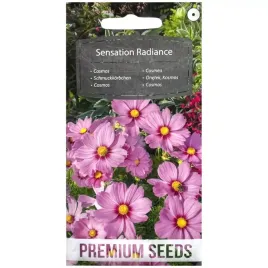 kosmos-sensation-radiance-nasiona-1g-premium-seeds