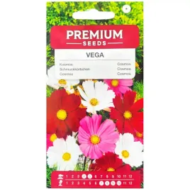 kosmos-vega-mieszanka-kolorow-nasiona-1g-premium-seeds