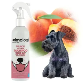 szampon-w-sprayu-bez-splukiwania-dla-psa-brzoskwiniowy-250ml-animalogy