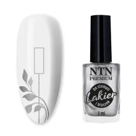 ntn-premium-lakier-do-stempli-wzorkow-blaszek-wzorki-srebrny-91-7ml