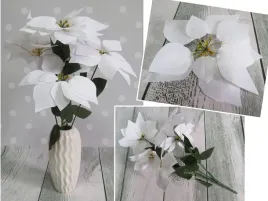 bukiet-10kpl-gwiazda-betlejemska-poinsecja-7-kwiatow-wys-50-cm-kwiat-20