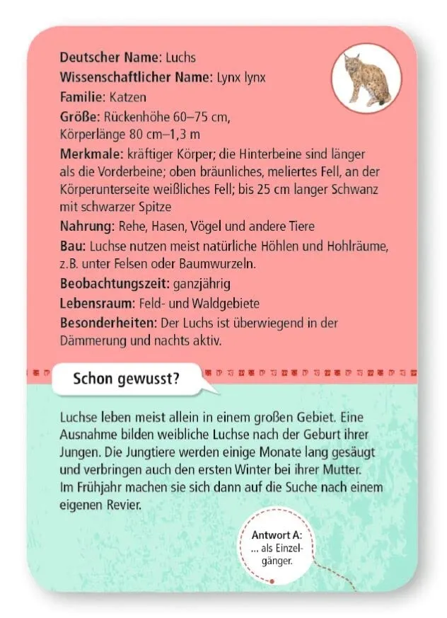 moses-9739-card-set-multicoloured-stan-nowy