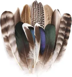12-naturalnych-pior-bazanta-do-dekoracji-diy-6-wzorow-10-23-cm