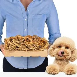 kurze-lapki-dla-psow-1-kg-naturalny-gryzak-suszony-smakolyk
