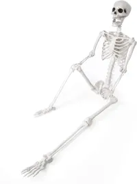 szkielet-halloween-naturalnej-wielkosci-185-cm-dekoracja-na-zewnatrz