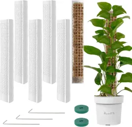 podpory-do-roslin-pnacych-60-cm-6-szt-prety-z-mchem-bialy-flat-top