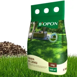 trawa-w-cieniu-5kg