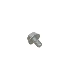sruba-iveco-daily-14greater-m6x10mm