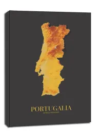 portugalia-mapa-zlota-obraz-na-plotnie-30x40-cm