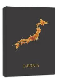 japonia-mapa-zlota-obraz-na-plotnie-61x915-cm