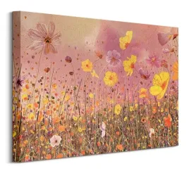 cosmos-flower-meadow-obraz-na-plotnie-50x40-cm