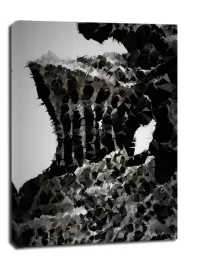 polyamory-havel-dark-souls-obraz-na-plotnie-50x70-cm