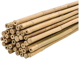 zestaw-tutory-plantawa-bambusowe-90cm-25szt-10-12mm-rosliny-pomidory
