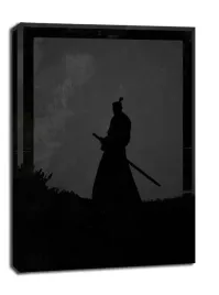 dawn-of-heroes-samurai-jack-obraz-na-plotnie-70x100-cm