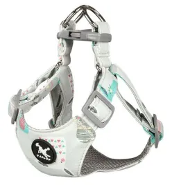 szelki-dla-psa-step-in-miekkie-shih-tzu-rozm-m
