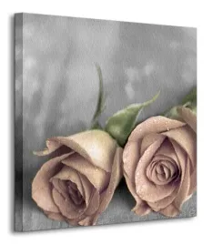 samotne-roze-bw-obraz-na-plotnie-40x40-cm
