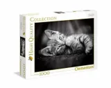 puzzle-1000-kitty