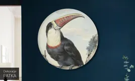 okragly-obraz-na-plotnie-80cm-tukan