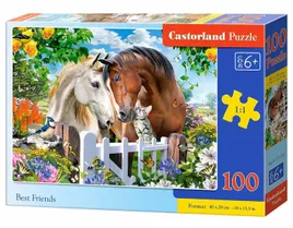 puzzle-100-best-friends-castor