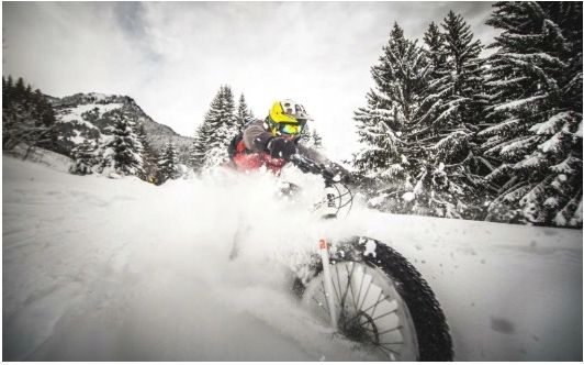 rower-17-fatbike-21-biegow-kolo-26