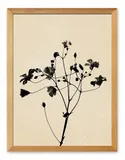 obraz-na-plotnie-plakat-boho-33x43cm-jesienna-trawa