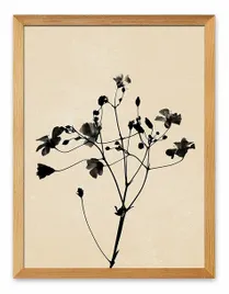 obraz-na-plotnie-plakat-boho-33x43cm-jesienna-trawa