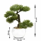drzewko-bonsai-w-doniczce-iglaste-stan-nowy