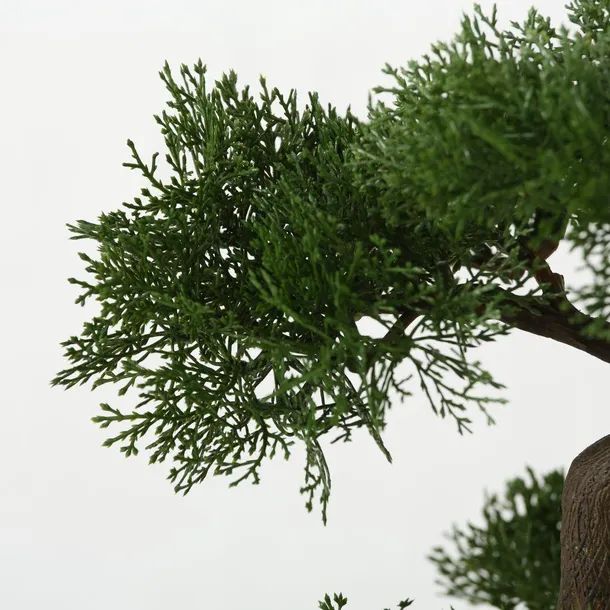drzewko-bonsai-w-doniczce-iglaste-kod-produktu-5907600415478