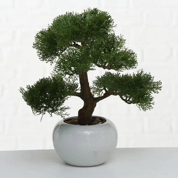 drzewko-bonsai-w-doniczce-iglaste-stan-nowy-kod-produktu-5907600415478