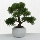 drzewko-bonsai-w-doniczce-iglaste-stan-nowy-kod-produktu-5907600415478