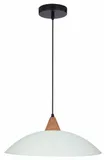 otriks-zwis-40-1x60w-e27