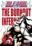manga-bleach-tom-45