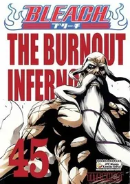 manga-bleach-tom-45