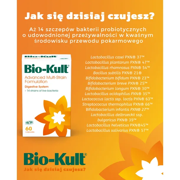 bio-kult-advanced-120-kapsulek-probiotyk-cechy-dodatkowe-bez-cukru-bez-laktozy-bezpieczny-dla-kobiet-karmiacych-weganski-bezpieczny-dla-kobiet-w-ciazy-czysty-bez-dodatkow-wegetarianski-bezglutenowy