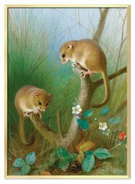 obraz-plakat-na-plotnie-53x73cm