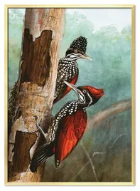 obraz-plakat-na-plotnie-53x73cm
