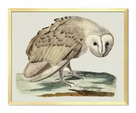 obraz-plakat-na-plotnie-43x53cm