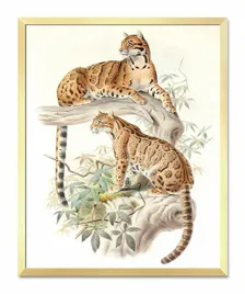 obraz-plakat-na-plotnie-43x53cm