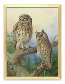 obraz-plakat-na-plotnie-33x43cm