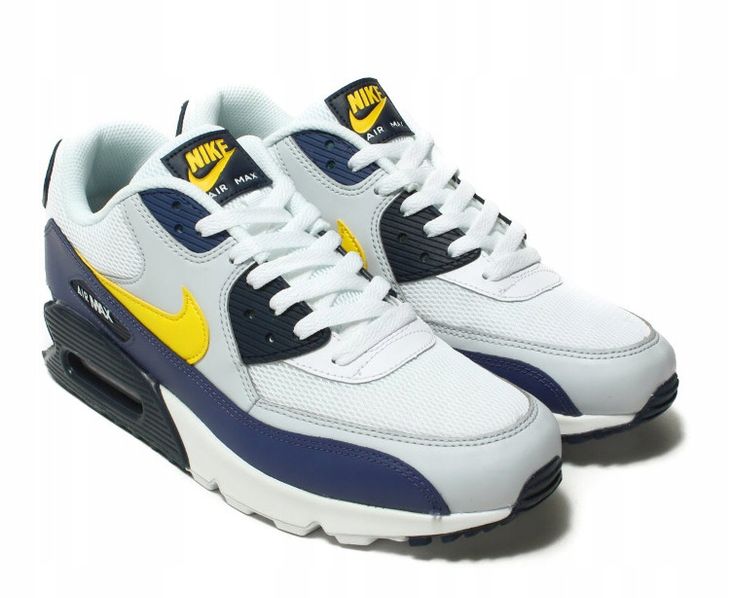 buty nike air max essential