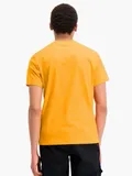 t-shirt-satin-logo-script-yellow-stan-nowy