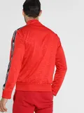 allover-logo-red-stan-nowy