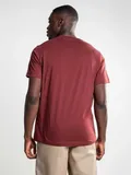 big-logo-burgundy-stan-nowy