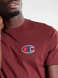 big-logo-burgundy-marka-inna