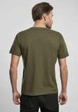 basic-olive-stan-nowy