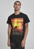 lion-king-sunset-black