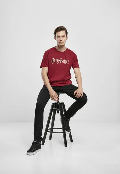 harry-potter-logo-burgundy-kolor-inny-kolor
